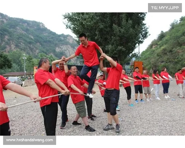 为什么里尔能够逆袭赢得法甲冠军 战术革新与团队凝聚力深度解析